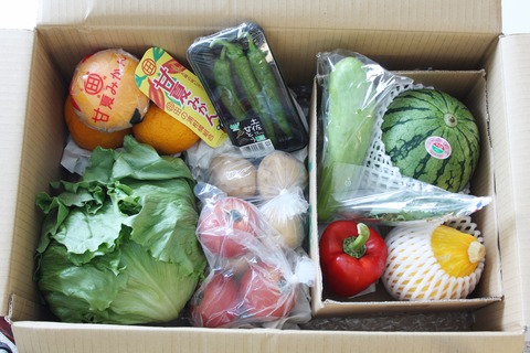 幸せ野菜ボックス01