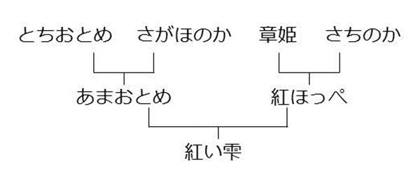 松野貞文の全国視察記 愛媛の新イチゴ 紅い雫 のつくり手 宇和島 まつのblog We Like Vegetables 松野貞文の全国視察記 愛媛の新イチゴ 紅い雫 のつくり手 宇和島 まつのblog We Like Vegetables