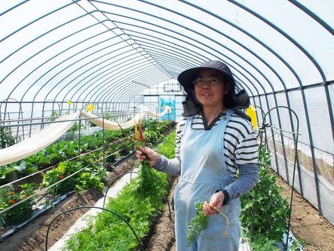 P5236067 - コピー