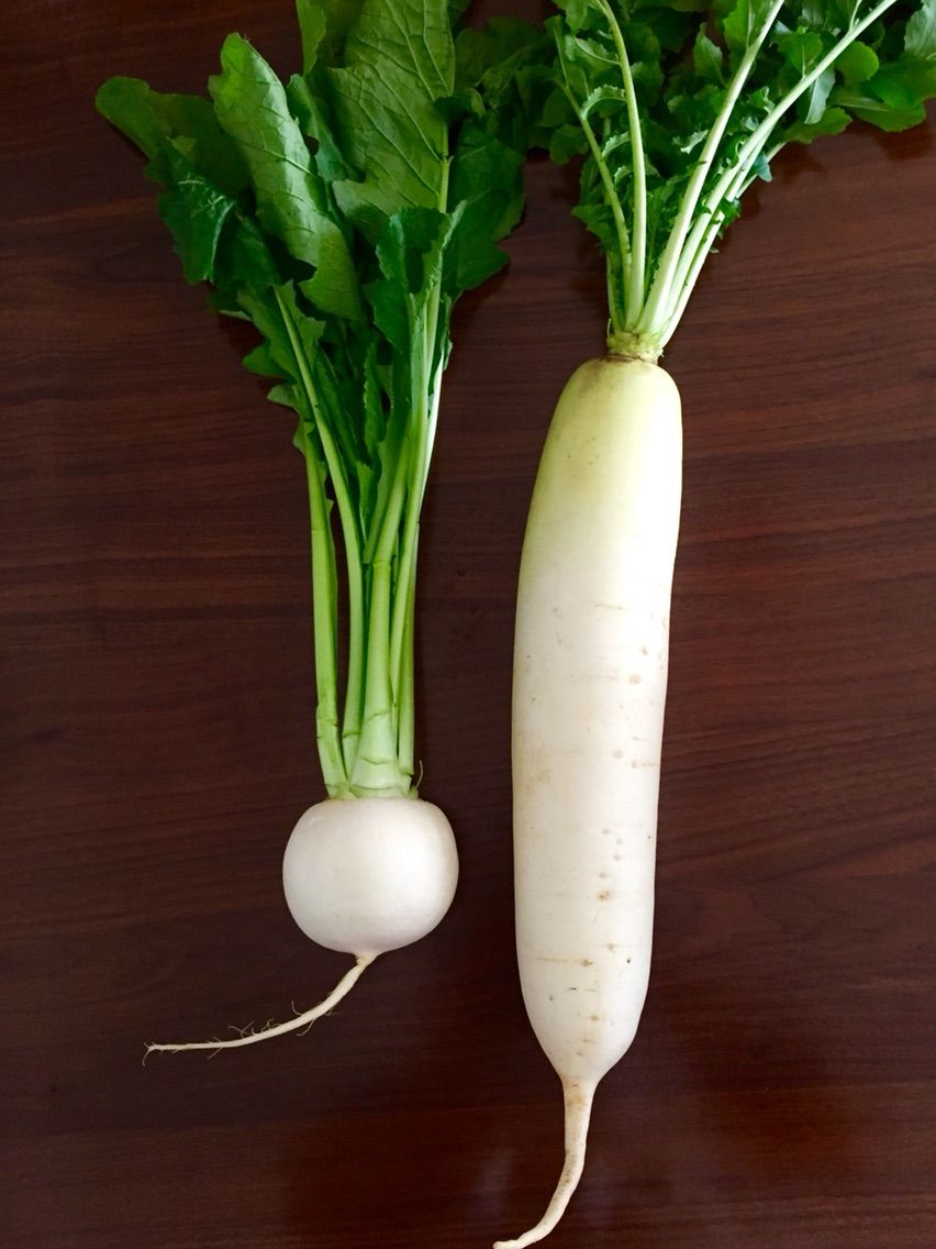 かぶ と 大根 の違いと 根も葉もある簡単料理 まつのblog We Like Vegetables