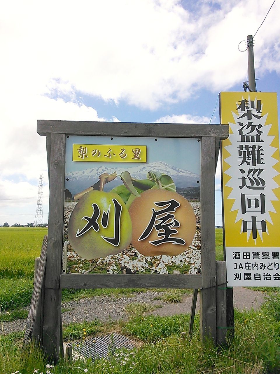 山形県 刈屋 幸水梨のジューシーれしぴ まつのblog We Like Vegetables 山形県 刈屋 幸水梨のジューシーれしぴ まつのblog We Like Vegetables