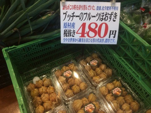 ひまわり市場