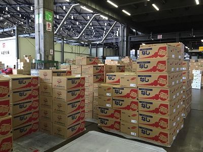 20150730_230141891_iOS