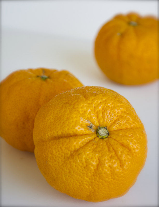 幻の柑橘 じゃばら で花粉症対策 まつのblog We Like Vegetables
