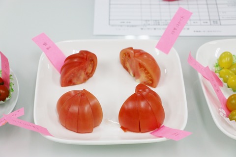 まつのベジフルサポーター全国研修会