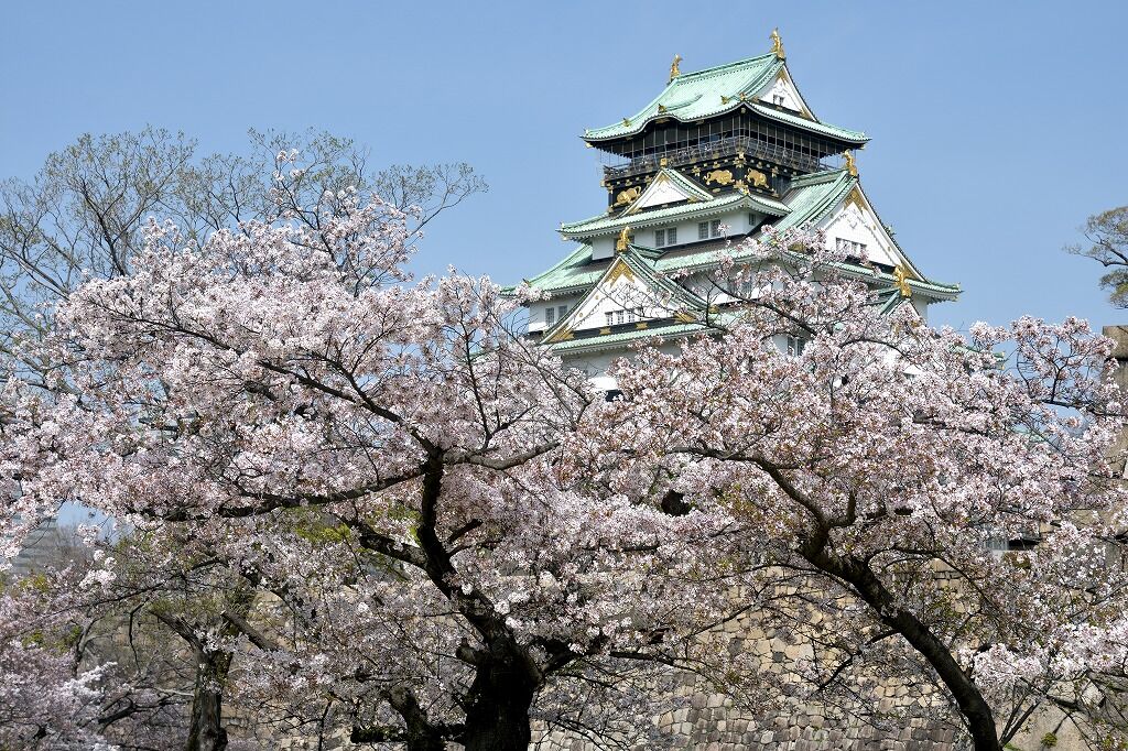 桜の季節 大阪城や阪急 山陽の桜など まっつぅーのブログ