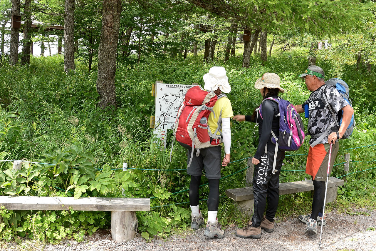 湯の丸高原 池の平湿原 長野県東御市 日本の原風景