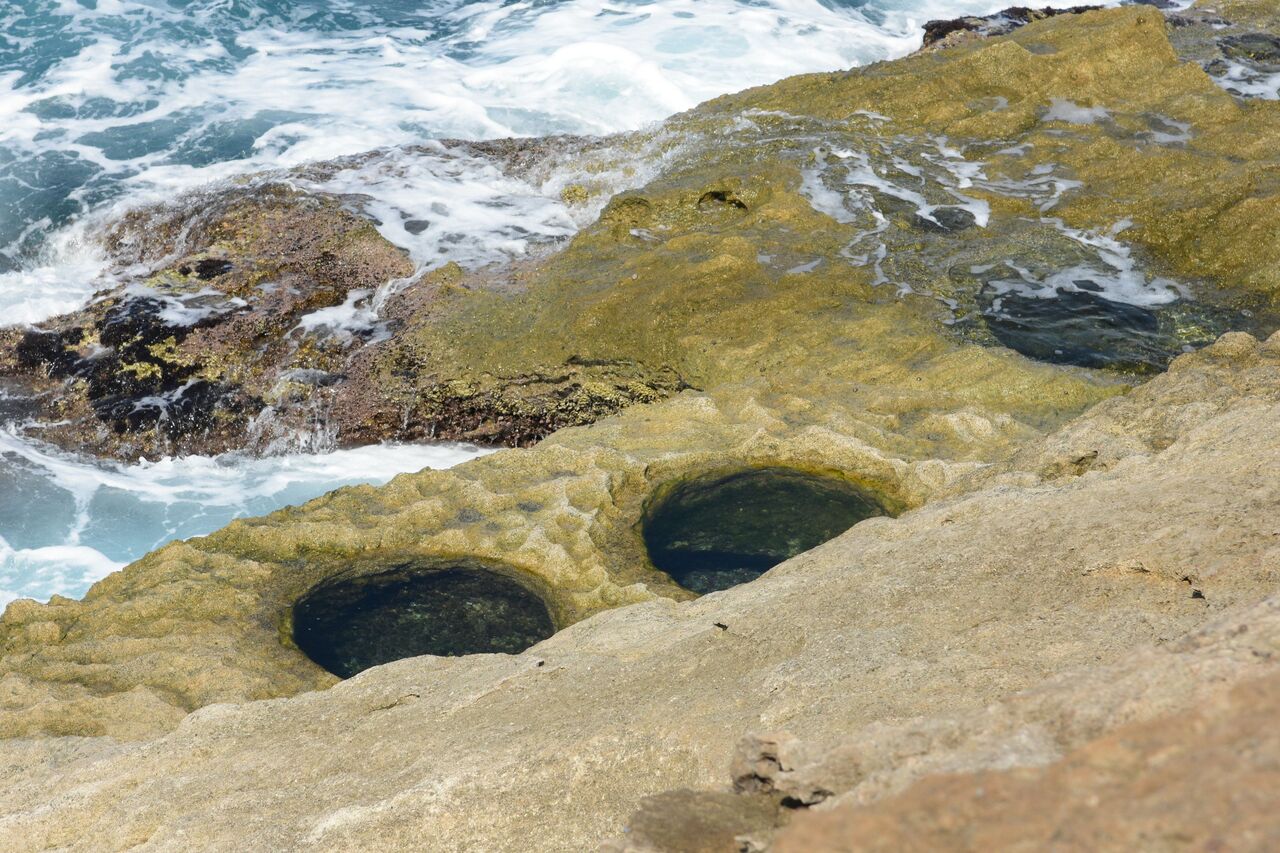 荒波が生み出した円形の穴（佐渡市平根崎の波蝕甌穴群） : 日本の原風景