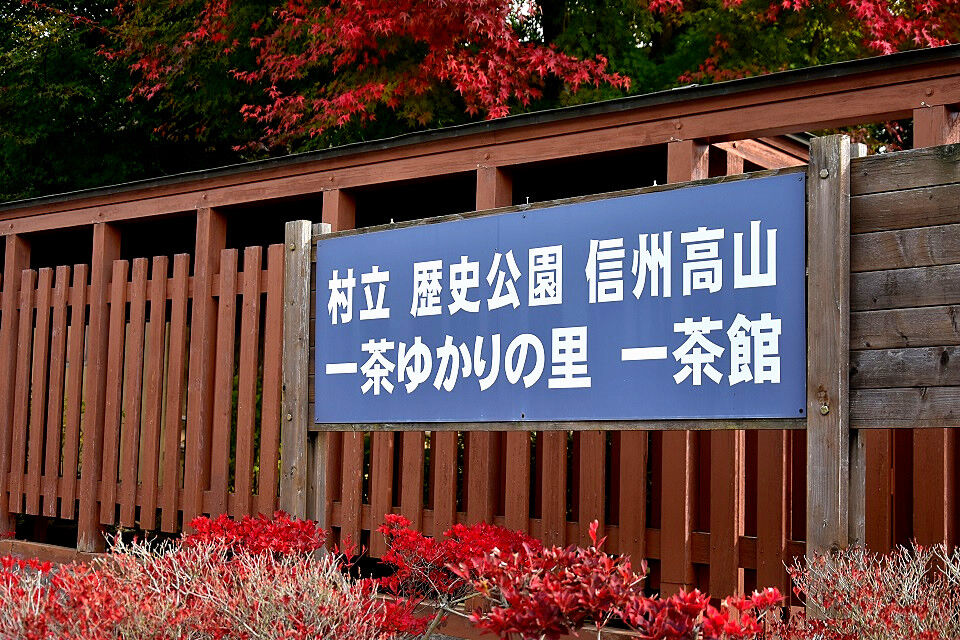紅葉に包まれる 一茶館 長野県高山村 日本の原風景