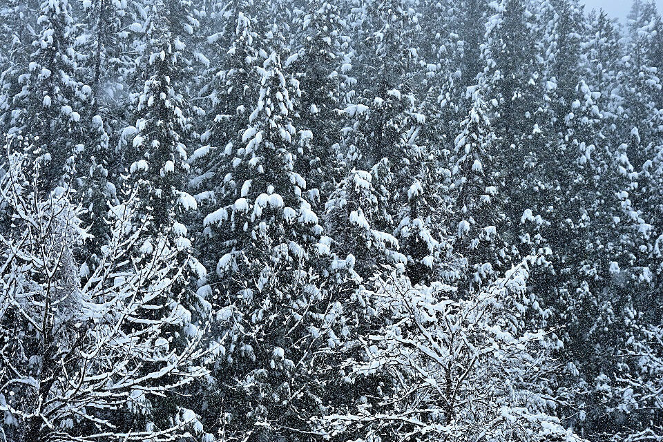 春の雪 3月29日 日本の原風景 春の雪 3月29日 日本の原風景