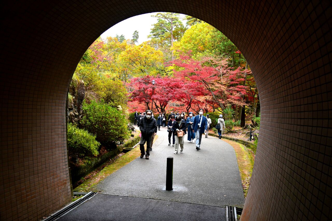 もみじ谷 の紅葉が見ごろ 新潟県弥彦村 日本の原風景