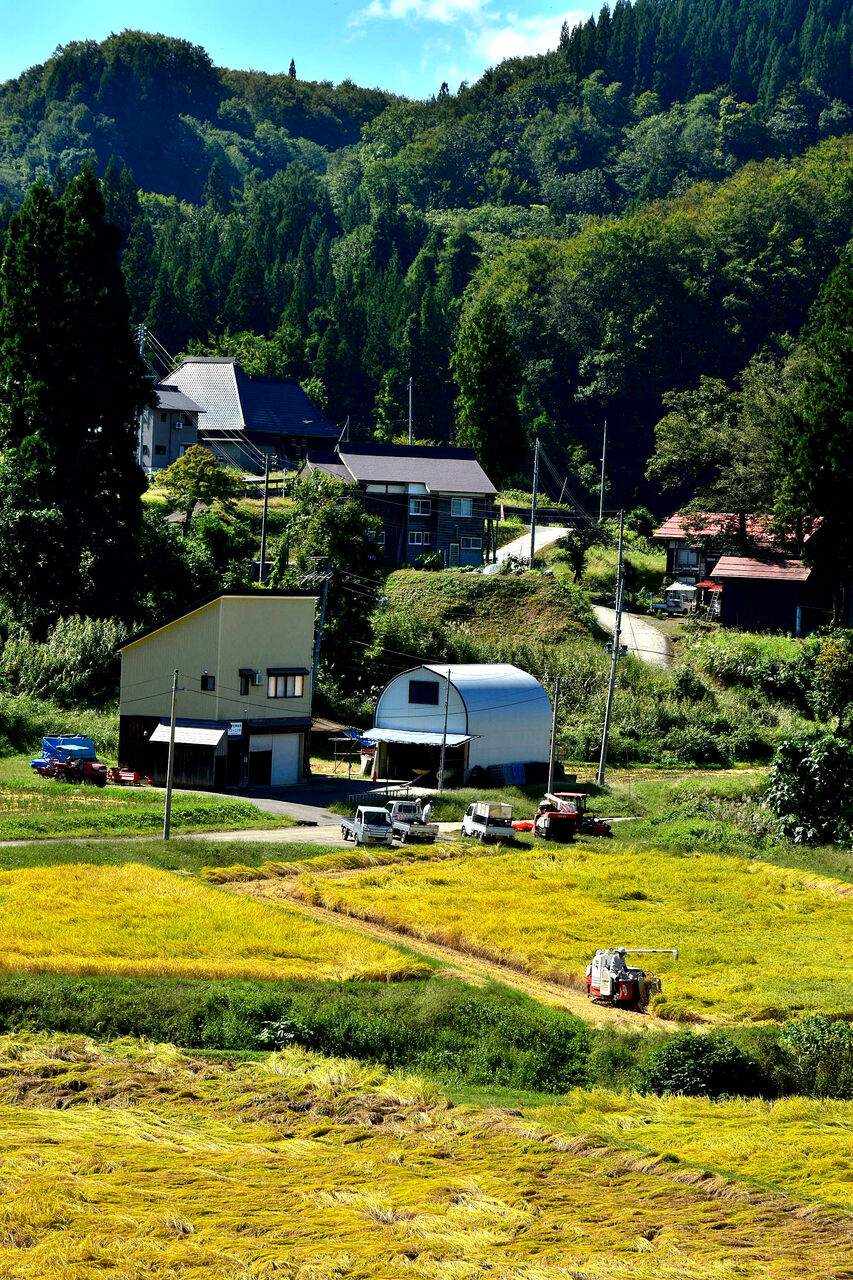 ふる里の昼景色 日本の原風景