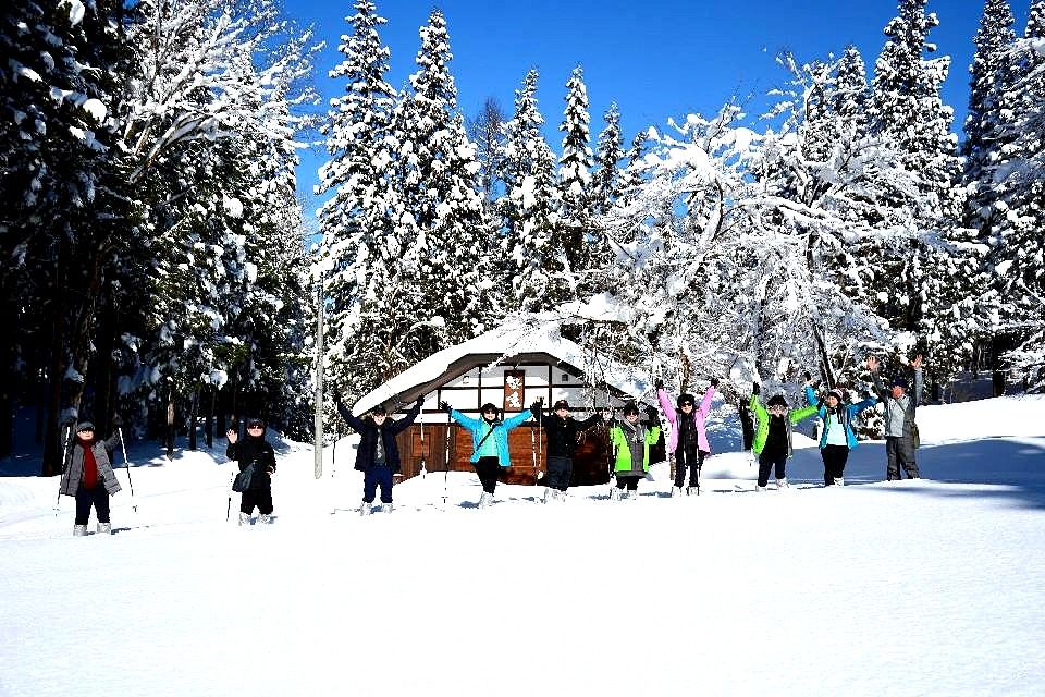 冬の美人林 でスノーシュー体験 韓国のツアー客が楽しむ 日本の原風景