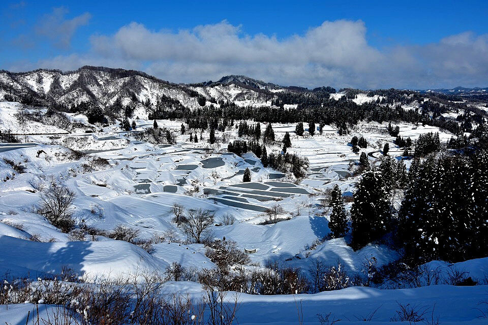 星峠の棚田 ２月４日 日本の原風景