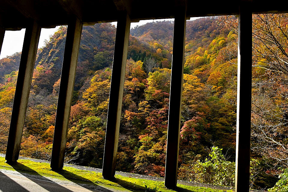 秋山郷の紅葉 新潟県 長野県 日本の原風景