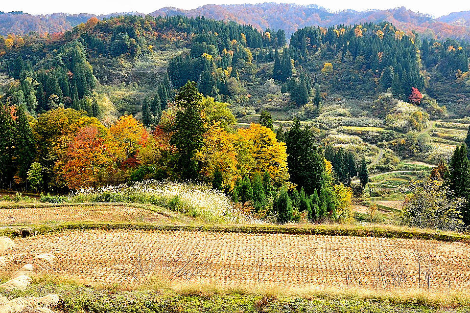 日本の原風景 晩秋の里山(棚田の里) 日本の原風景 晩秋の里山(棚田の里)