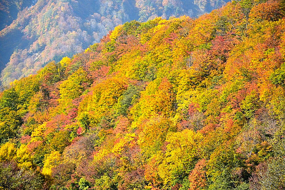 秋山郷の紅葉 日本の原風景 秋山郷の紅葉 日本の原風景