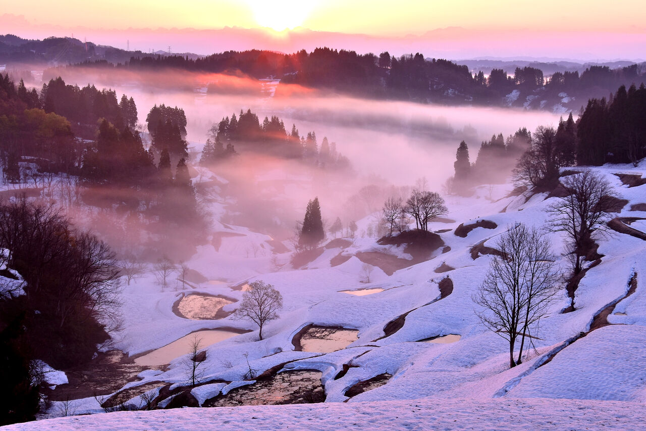 蒲生の棚田 十日町市 日本の原風景