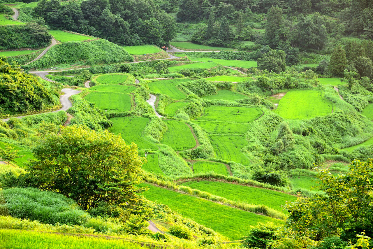 棚田 山水河 75㎝額 水墨風景画 里山風景 故郷 農村 北陸地方 日本の原風景 棚田 山水河 75cm 水墨風景画 里山風景 故郷 農村 北陸地方 日本