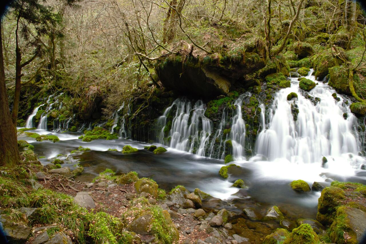 DSC_1280-00