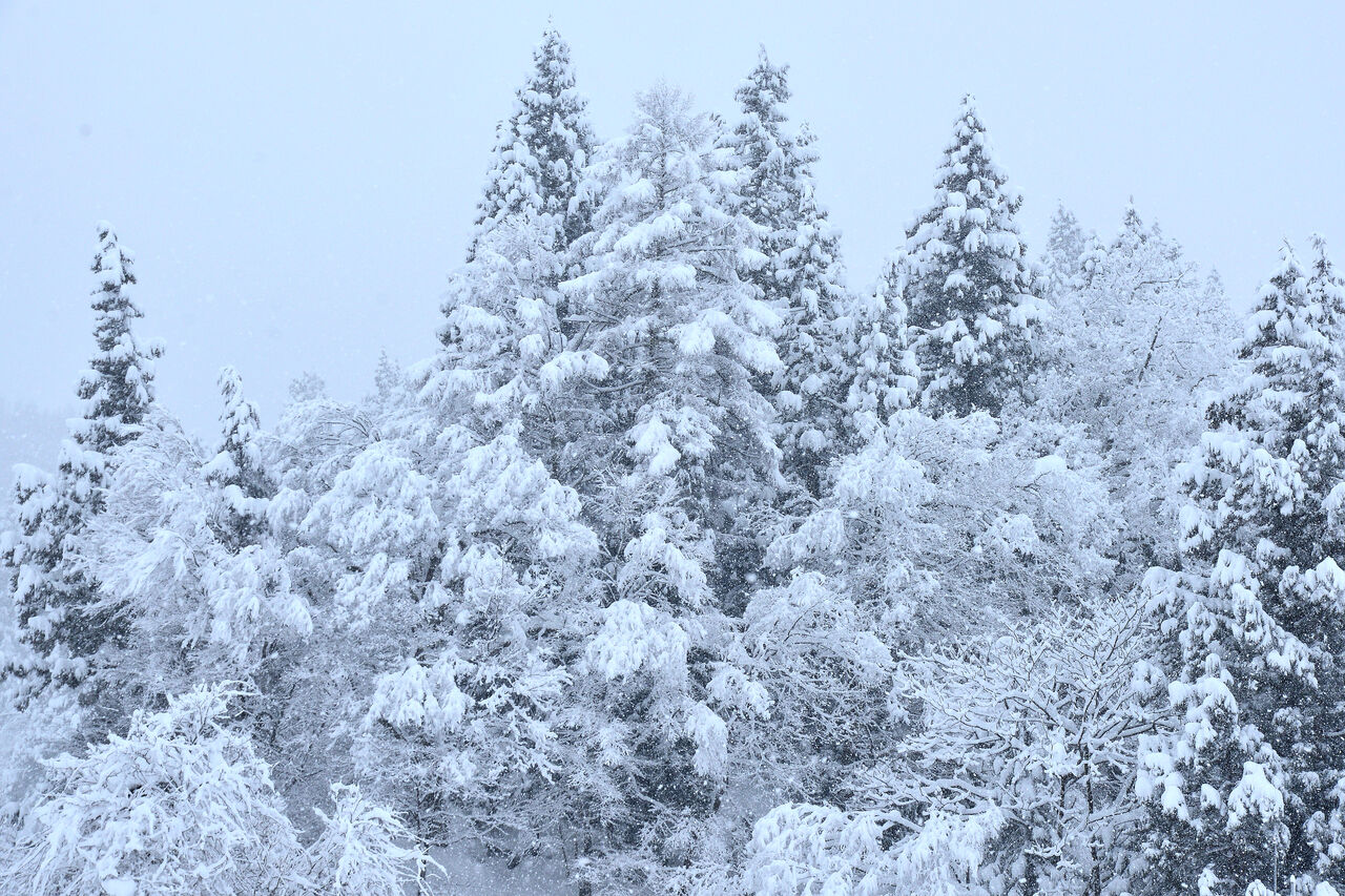 雪景色 日本の原風景