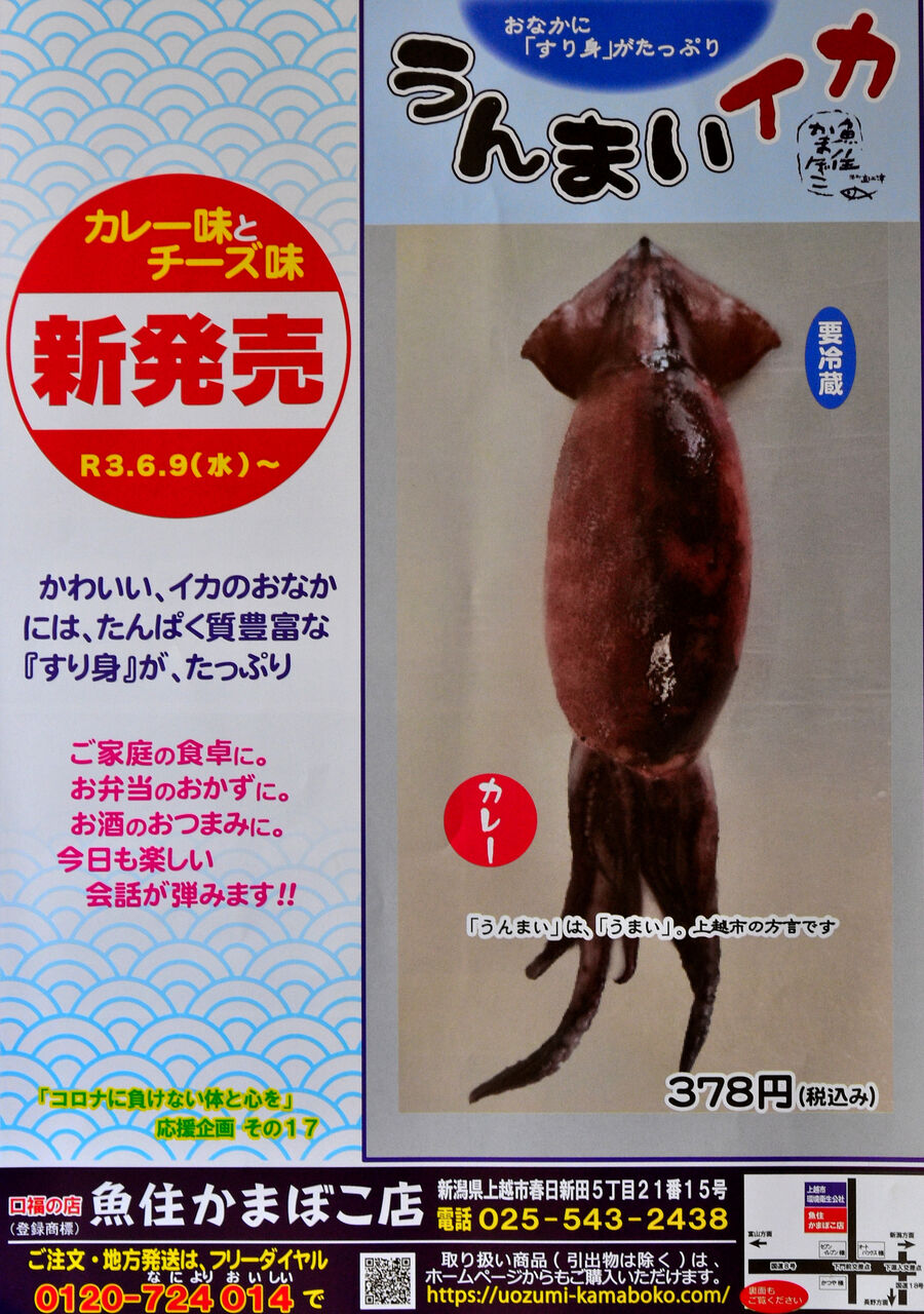 イカにすり身が入った 蒲鉾 新発売 上越市の 魚住 かまぼこ店 日本の原風景