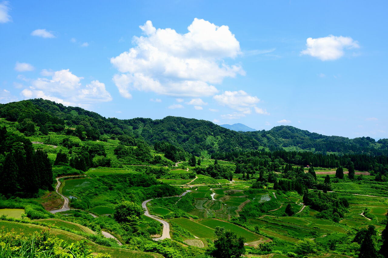 星峠の棚田 十日町市 日本の原風景