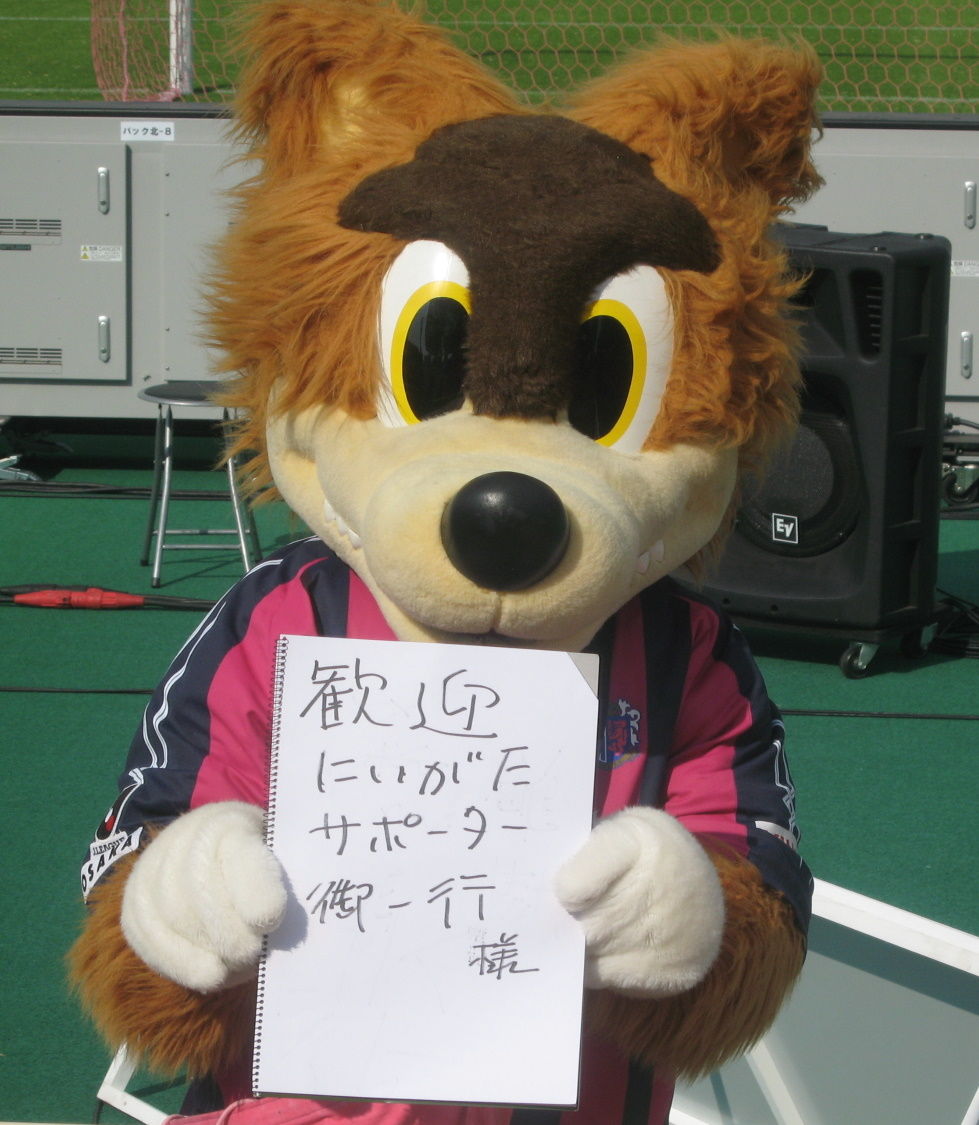 セレッソ戦小ネタ ロビー君 加茂田上でサッカーを楽しむブログ