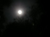 bluemoon