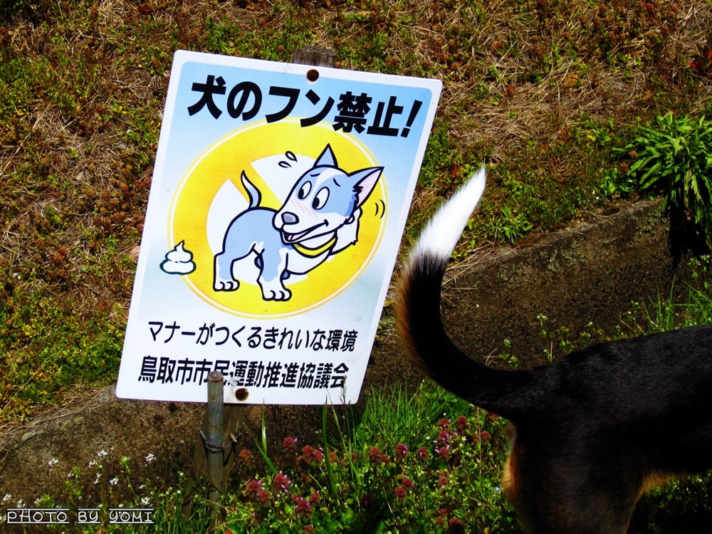 退避 総員退避 ナツ色 ハル色 あうとれっと 退避 総員退避 ナツ色 ハル色 あうとれっと