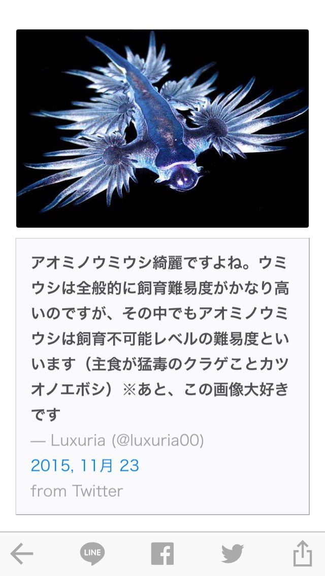 絵本ネタ Mauの雑記blog