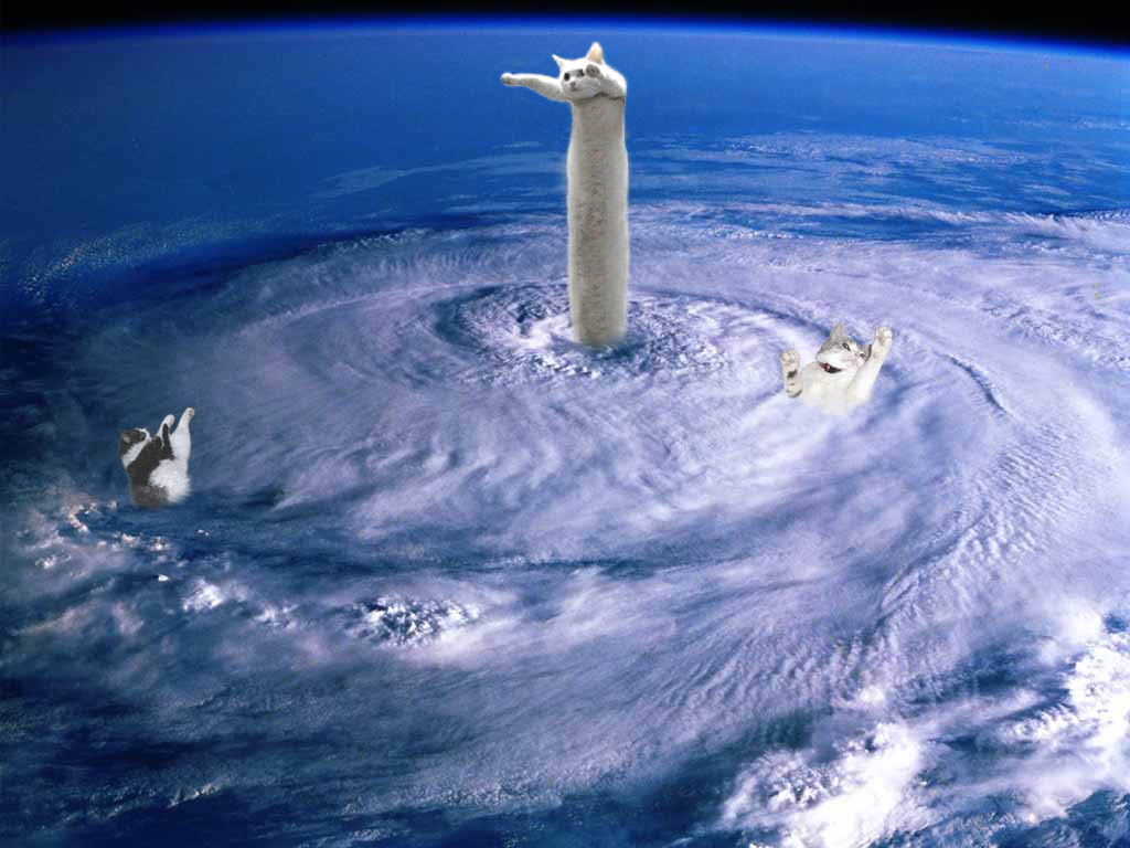 台風はどこへ なぜベストを尽くさないのか 台風はどこへ なぜベストを尽くさないのか