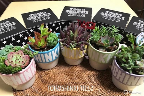 18251474_1357120624357632_2778858451990740992_n (1)