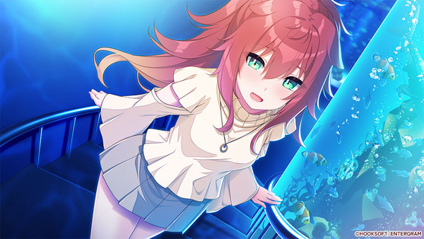 ���ˤϤ��ޤ���ɬ�פǤ� �����å� ���� Ź����ŵ (2)