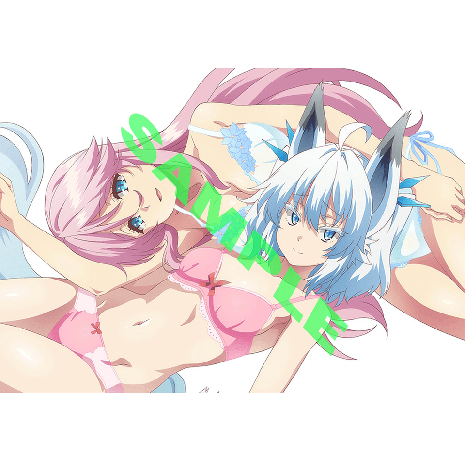 アニメ 回復術士のやり直し Dvd店舗特典でエロ裸イラストやエロ抱きまくらなど チラシの裏でゲーム鈍報 アニメ 回復術士のやり直し Dvd店舗特典でエロ裸イラストやエロ抱きまくらなど チラシの裏でゲーム鈍報