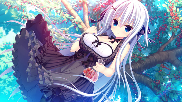 �饺�٥꡼���塼�� ���� ���äѤ� (5)