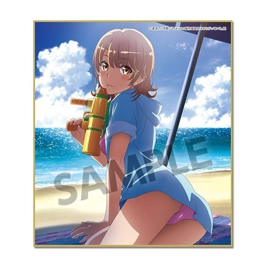 やはり俺の青春ラブコメはまちがっている。 エロ 水着 グッズ (13)