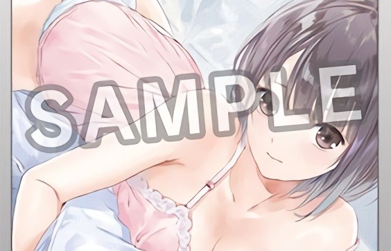 C91�����ƥ��֡����ǡإ֥롼��ե쥯�����٤�إ��ե����Υ��ȥꥨ�٤ʤɤΥ������饹�ȥ��å��Υ���ͥ������