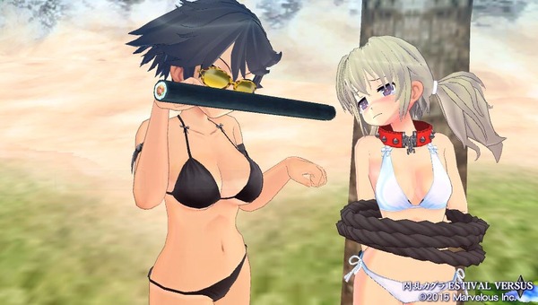 閃乱カグラ ESTIVAL VERSUS 下着バグ 全裸 エロ (26)