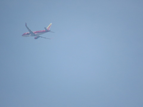 26年4月25日今日の散歩道の花 017