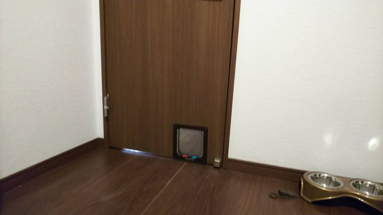 ネコちゃんの穴 あまちゃんハンドメイド ネコちゃんの穴 あまちゃんハンドメイド