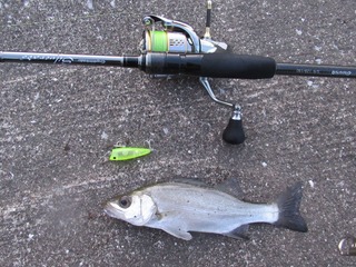 20200803052206_IMG_0970_1
