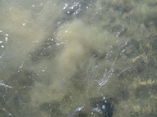 20200208101607_IMG_0428