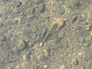 20200208101704_IMG_0429