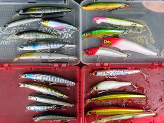 20200918170127_IMG_1030