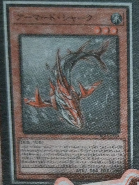 1000068490