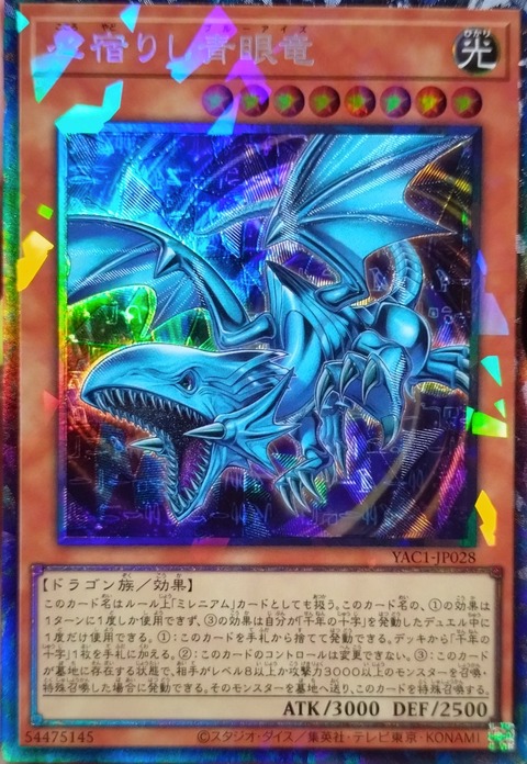 1000164252