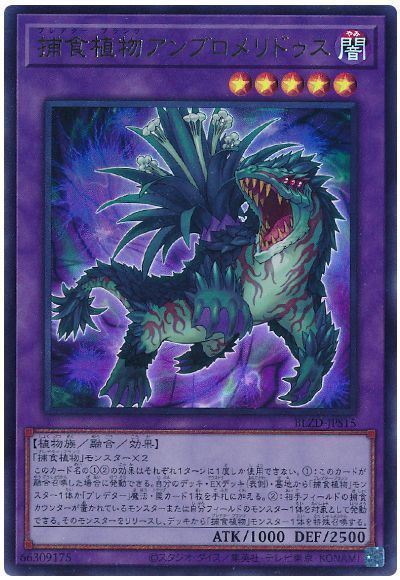 8060
