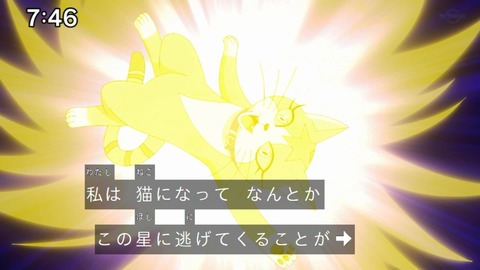 Capture_20221127-074637