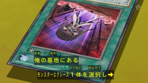zexal 73 55